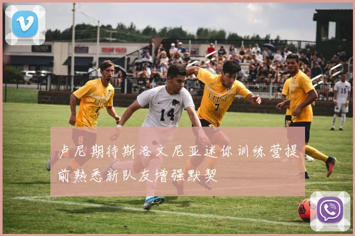 卢尼期待斯洛文尼亚迷你训练营提前熟悉新队友增强默契